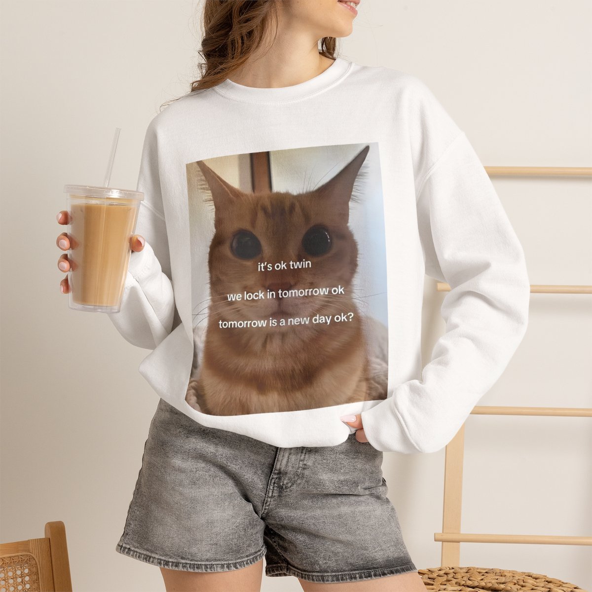 ph4ah6-1.jpg Funny Cat Meme Sweatshirt - Cute Comfort Apparel for Pet Lovers White